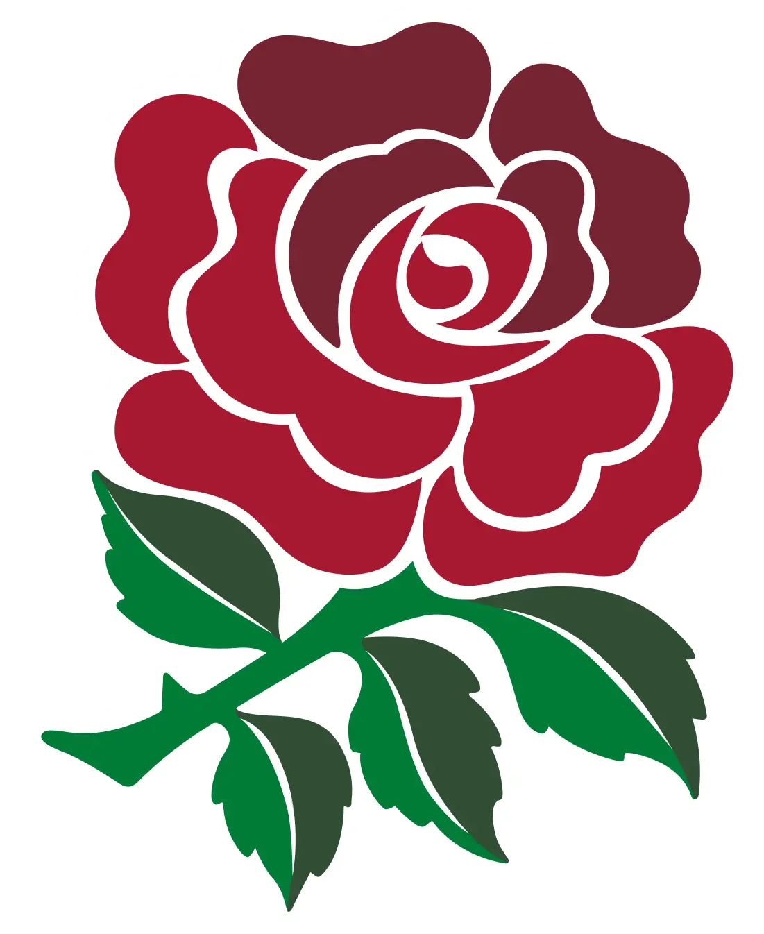 England vs Australia