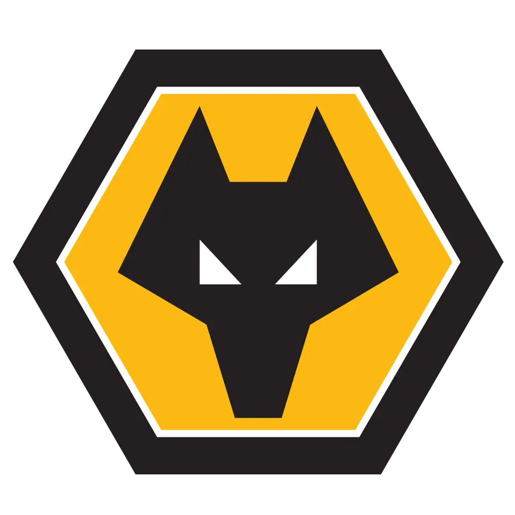 Wolves vs Bolton