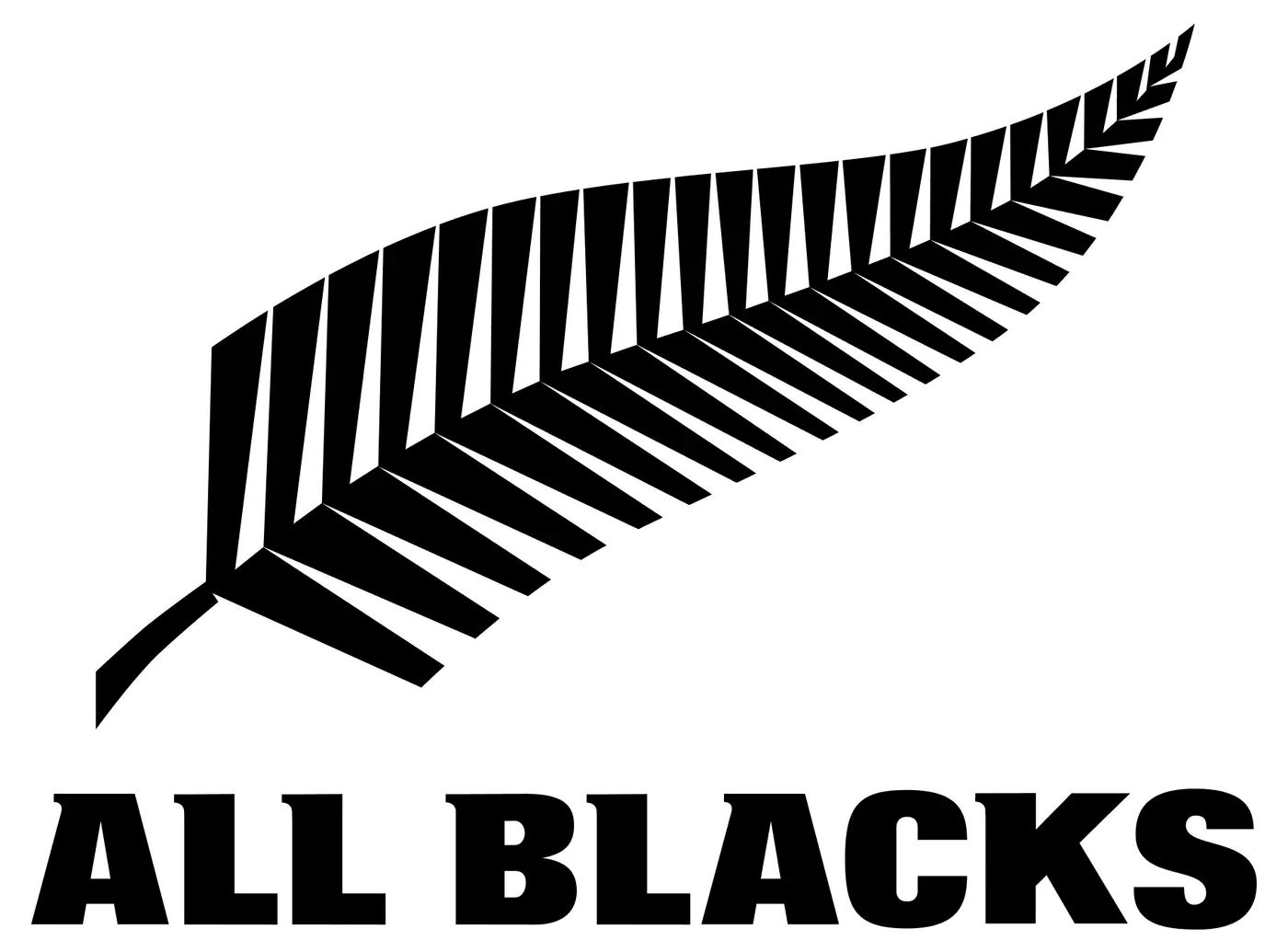 Scotland vs New Zealand